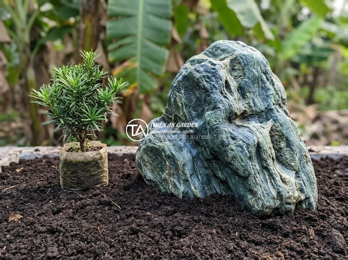 Mẫu tiểu cảnh đá cuội kết hợp cây tùng la hán đẳng cấp cho đại gia - Step-by-step coordination of pebbles and La Han pine in garden design, showing l