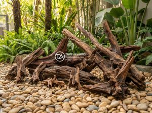Mua gỗ lũa ở đâu uy tín? Top 5 địa chỉ bán gỗ lũa nghệ thuật - High-resolution professional photograph of various types of Vietnamese driftwood