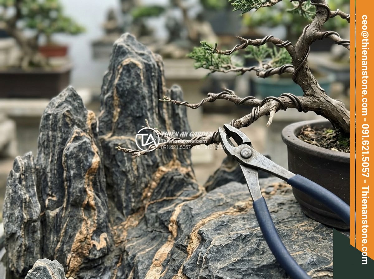 10 Dụng cụ không thể thiếu khi chế tác tiểu cảnh cây ôm đá chuyên nghiệp - Bonsai training wire being carefully wrapped around the branches of a miniature 