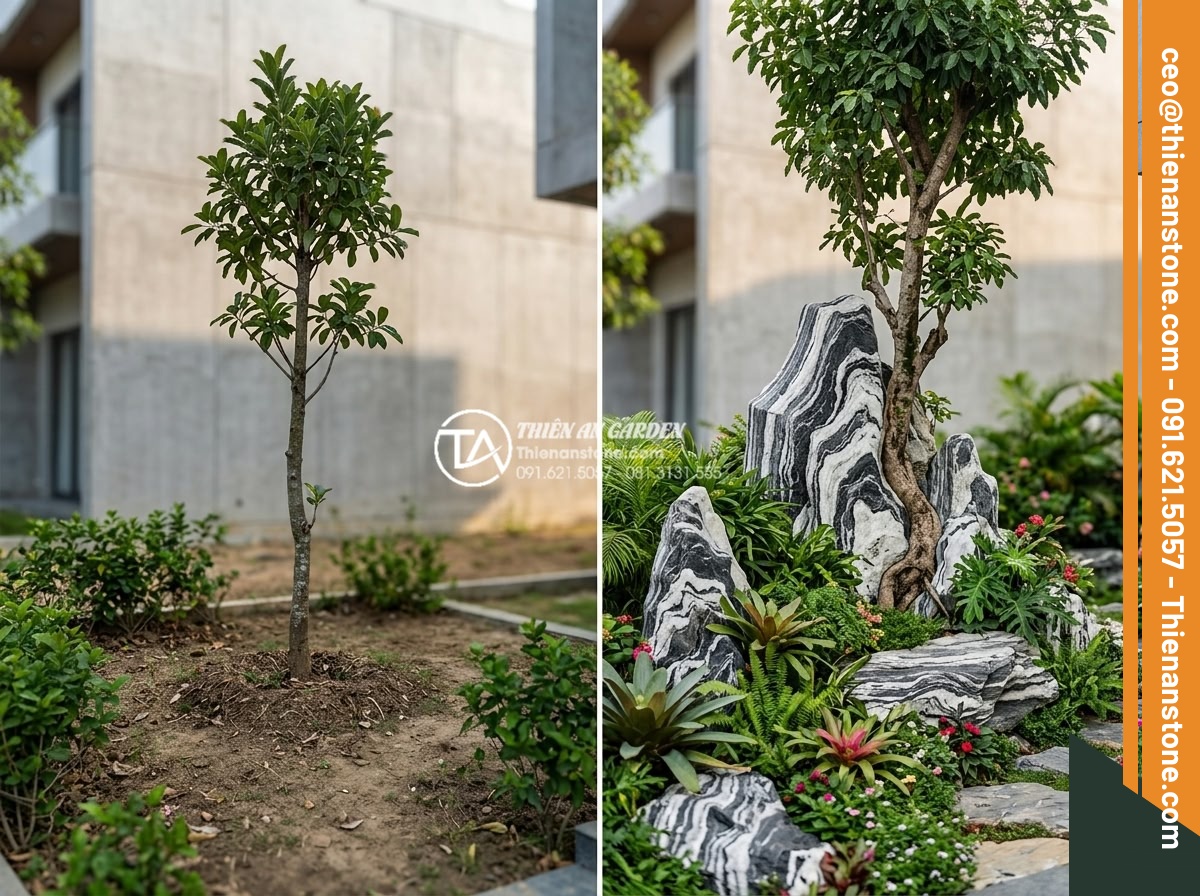 Bí quyết chọn đá Tuyết Sơn làm tiểu cảnh cây ôm đá chuẩn phong thủy - Hình 16 Bí quyết chọn đá Tuyết Sơn làm tiểu cảnh cây ôm đá chuẩn phong thủy - Professional before and after comparison photograph showing a modern villa garde