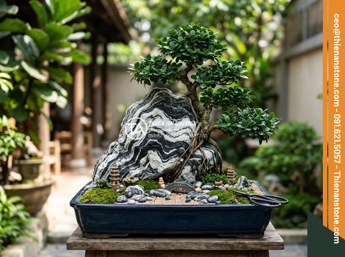 Bí quyết chọn đá Tuyết Sơn làm tiểu cảnh cây ôm đá chuẩn phong thủy - Hình 17 Bí quyết chọn đá Tuyết Sơn làm tiểu cảnh cây ôm đá chuẩn phong thủy - Professional care and maintenance photograph showing an expert gardener carefull