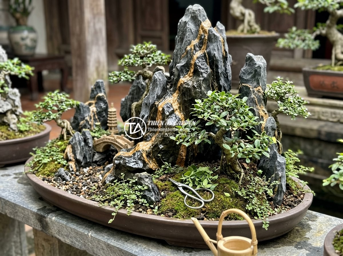 Cách xử lý rêu bám và vệ sinh đá cảnh trong tiểu cảnh cây ôm đá - Long-term maintenance schedule demonstrated on thriving rock-embracing tree mini