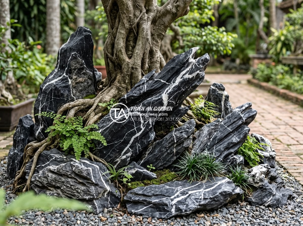 Cách xử lý rêu bám và vệ sinh đá cảnh trong tiểu cảnh cây ôm đá - Artistic stone arrangement techniques minimizing excessive moss in tree hugging 