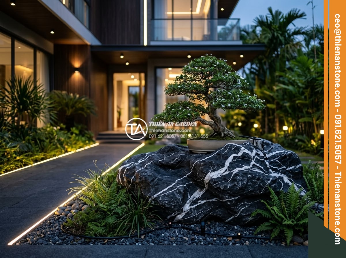 Cây mai chiếu thủy ôm đá: Hương thơm và vẻ đẹp thanh cao - Hình 9 Cây mai chiếu thủy ôm đá: Hương thơm và vẻ đẹp thanh cao - Futuristic 2026 garden design featuring Mai Chieu Thuy tree on natural stone wit