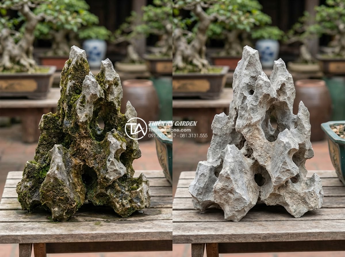 Giải đáp 10 câu hỏi thường gặp (FAQ) về bảo dưỡng tiểu cảnh đá mỹ nghệ - Detailed image of stone miniature landscape with moss and algae growth before tr