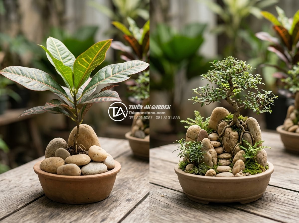 Lỗi thường gặp khi tự làm tiểu cảnh cây ôm đá mini tại nhà - Hình 4 Lỗi thường gặp khi tự làm tiểu cảnh cây ôm đá mini tại nhà - Proper misting technique on mini tree hugging stone scene in home environment wi