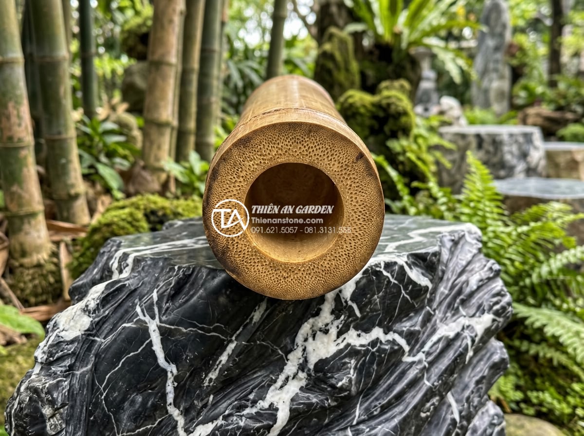 Nên chọn tre loại nào để làm tiểu cảnh bền bỉ, không bị nứt vỡ mọt? - Detailed cross-section of mature aged bamboo showing thick walls, dense fibers a