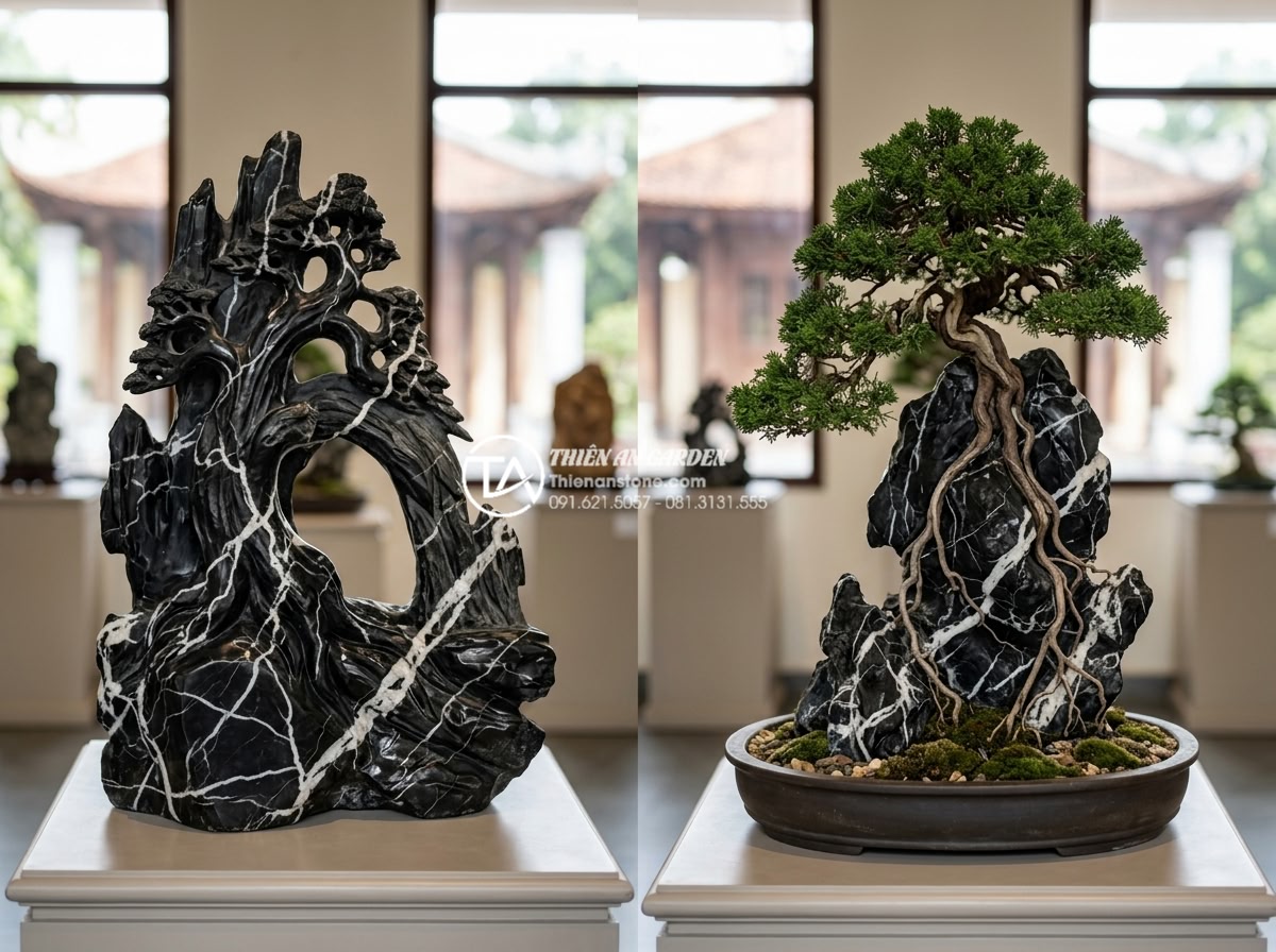 Sự khác biệt giữa tiểu cảnh cây ôm đá và cây bám đá nghệ thuật - Various suitable tree species for tree hugging stone and Ishizuki styles display