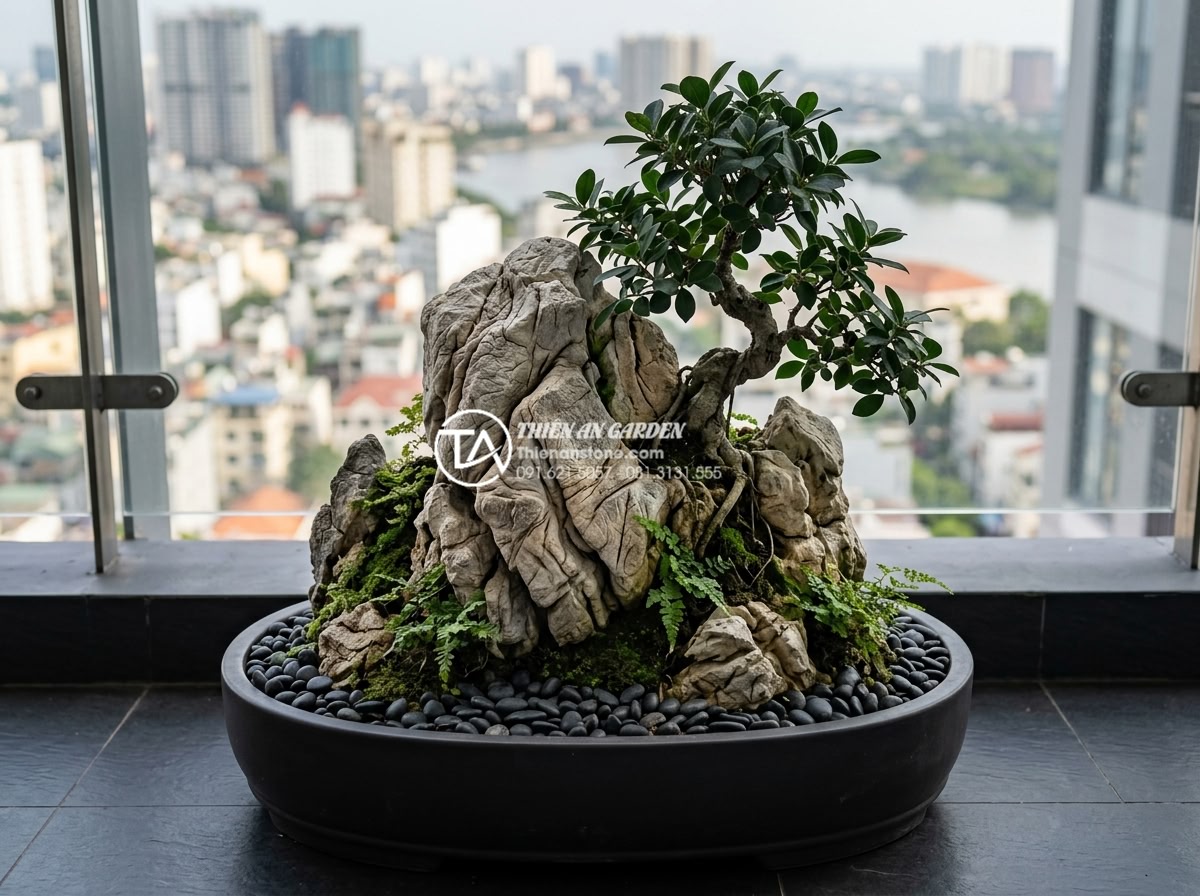 Tiểu cảnh cây ôm đá cho ban công chung cư: Nhỏ gọn nhưng đẳng cấp - Close-up realistic image of elegant stone and miniature tree composition for hig