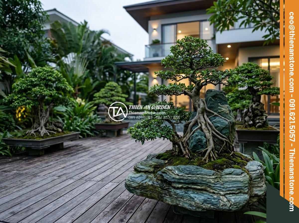 Top 5 loại cây lý tưởng nhất để làm tiểu cảnh đá ôm cây bền đẹp - Hình 2 Top 5 loại cây lý tưởng nhất để làm tiểu cảnh đá ôm cây bền đẹp - Wide angle realistic photo of an elegant modern villa garden in Vietnam featurin