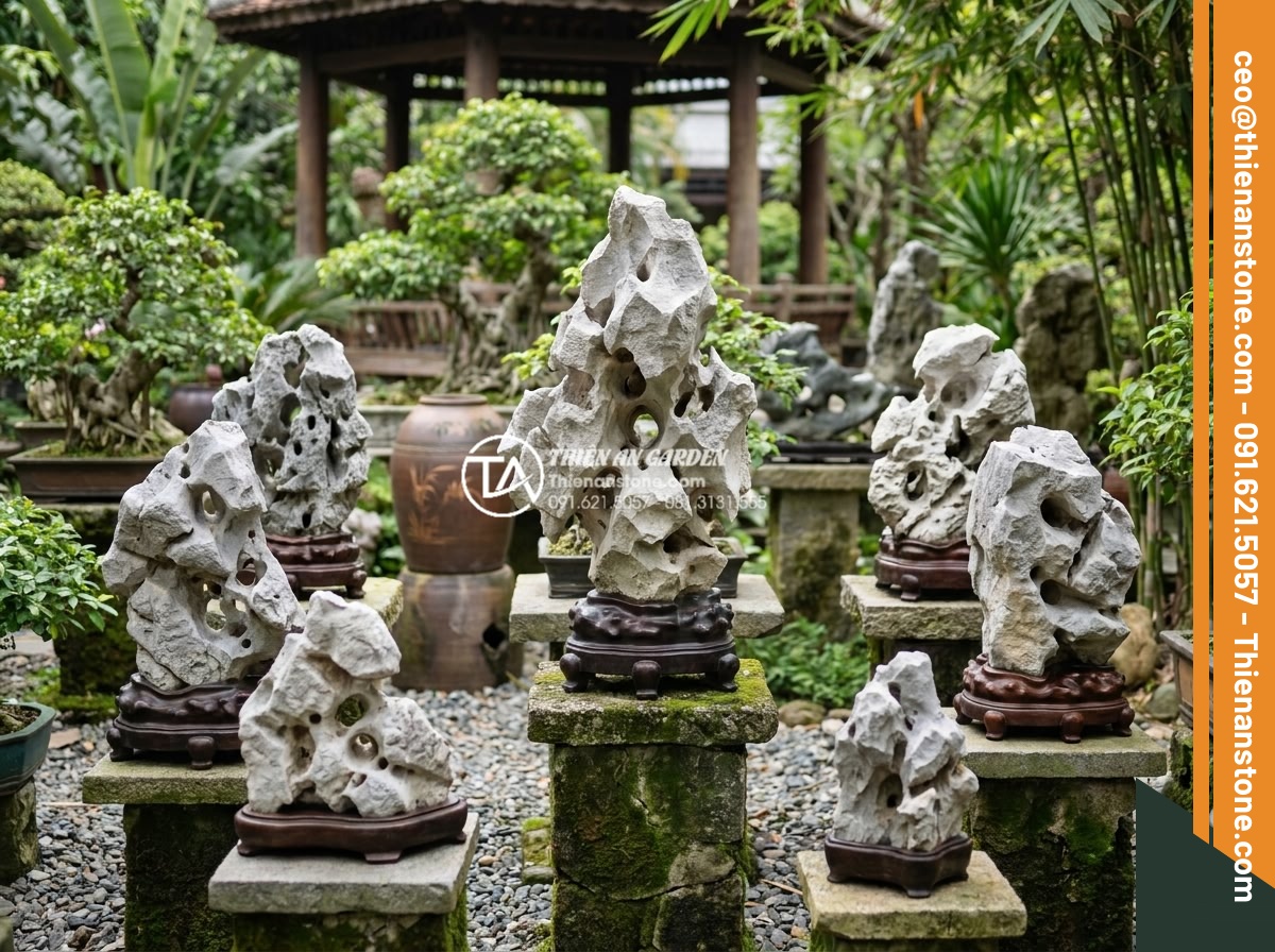 Ý nghĩa của đá trong tiểu cảnh thiền: Cách chọn và sắp đặt chuẩn phong thủy - Various classified Suiseki stones from Japanese tradition including mountain, wa