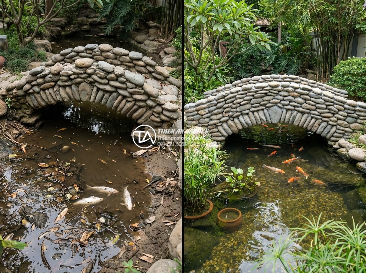 Cầu đá qua hồ cá Koi: 4 lưu ý kỹ thuật để không làm ảnh hưởng nguồn nước - Hình 8 Cầu đá qua hồ cá Koi: 4 lưu ý kỹ thuật để không làm ảnh hưởng nguồn nước - Cautionary before-and-after image showing the negative impact of poorly construc