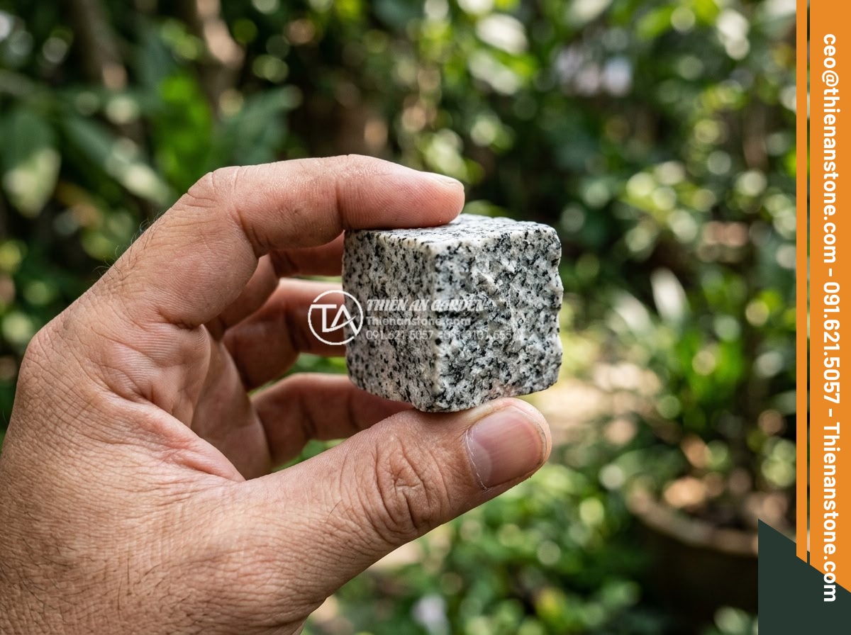 Đá Cubic Granite Muối tiêu - Chất liệu: Đá Granite Muối tiêu tự nhiên - Kích thước: 10x10x5cm (dày 5cm) - Hình 4 Đá Cubic Granite Muối tiêu - Chất liệu: Đá Granite Muối tiêu tự nhiên - Kích thước: 10x10x5cm (dày 5cm) - Detailed close view of cubic granite muoi tieu stone being held in human hand to