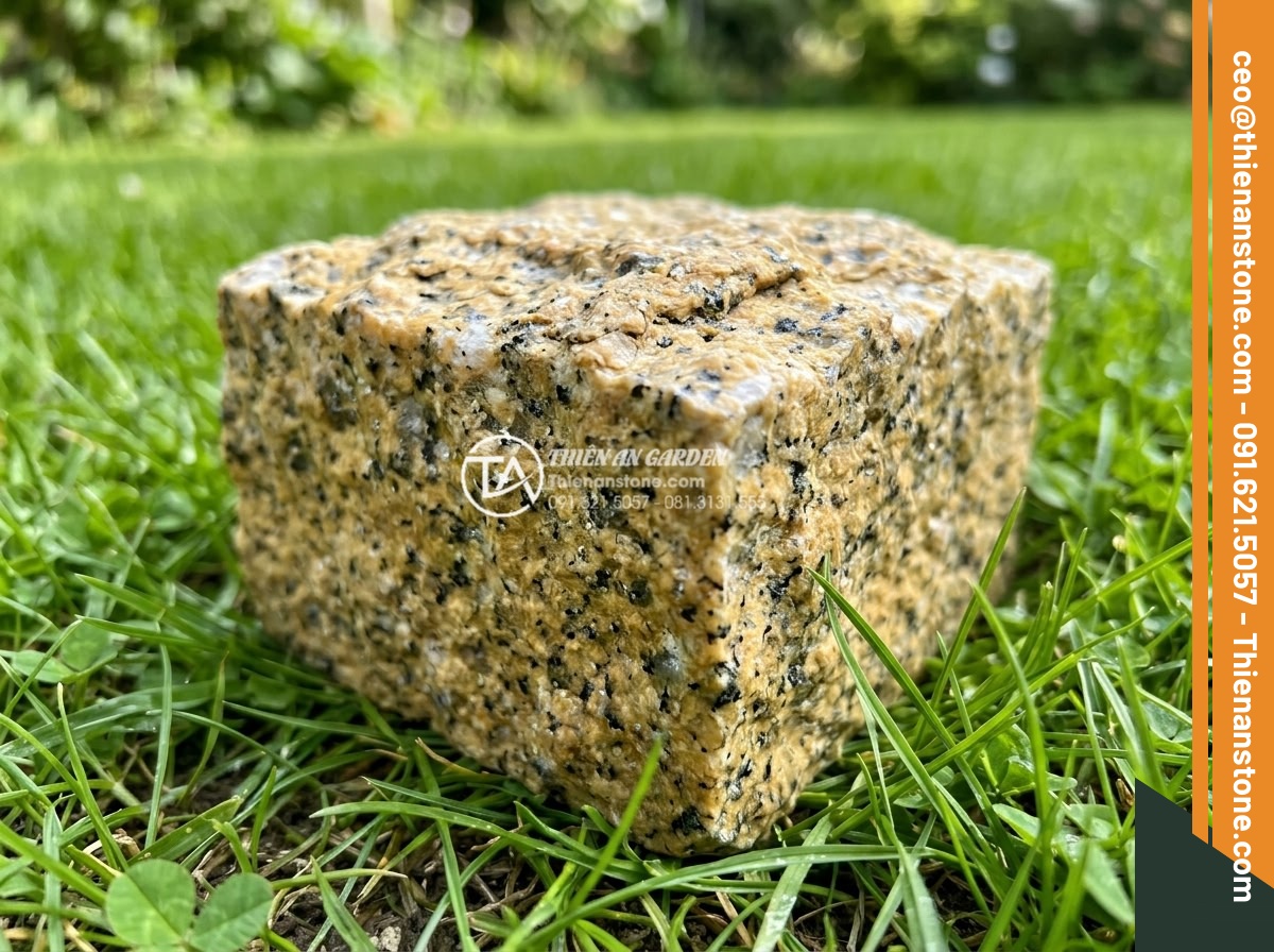 Đá Cubic Granite Vàng - Chất liệu: Đá granite vàng tự nhiên - Kích thước: 10x10x5cm (dày 5cm) - Hình 2 Đá Cubic Granite Vàng - Chất liệu: Đá granite vàng tự nhiên - Kích thước: 10x10x5cm (dày 5cm) - Close-up realistic shot of a single 10x10x5cm golden granite cubic stone placed