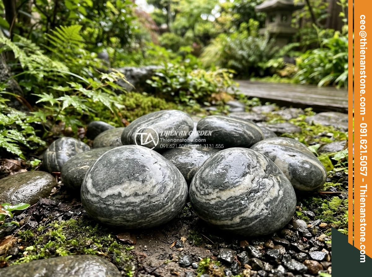 Đá cuội vân mây viên lớn - Hình 18 Đá cuội vân mây viên lớn - Freshly cleaned large cloud pattern pebbles sparkling after rain in beautiful ga