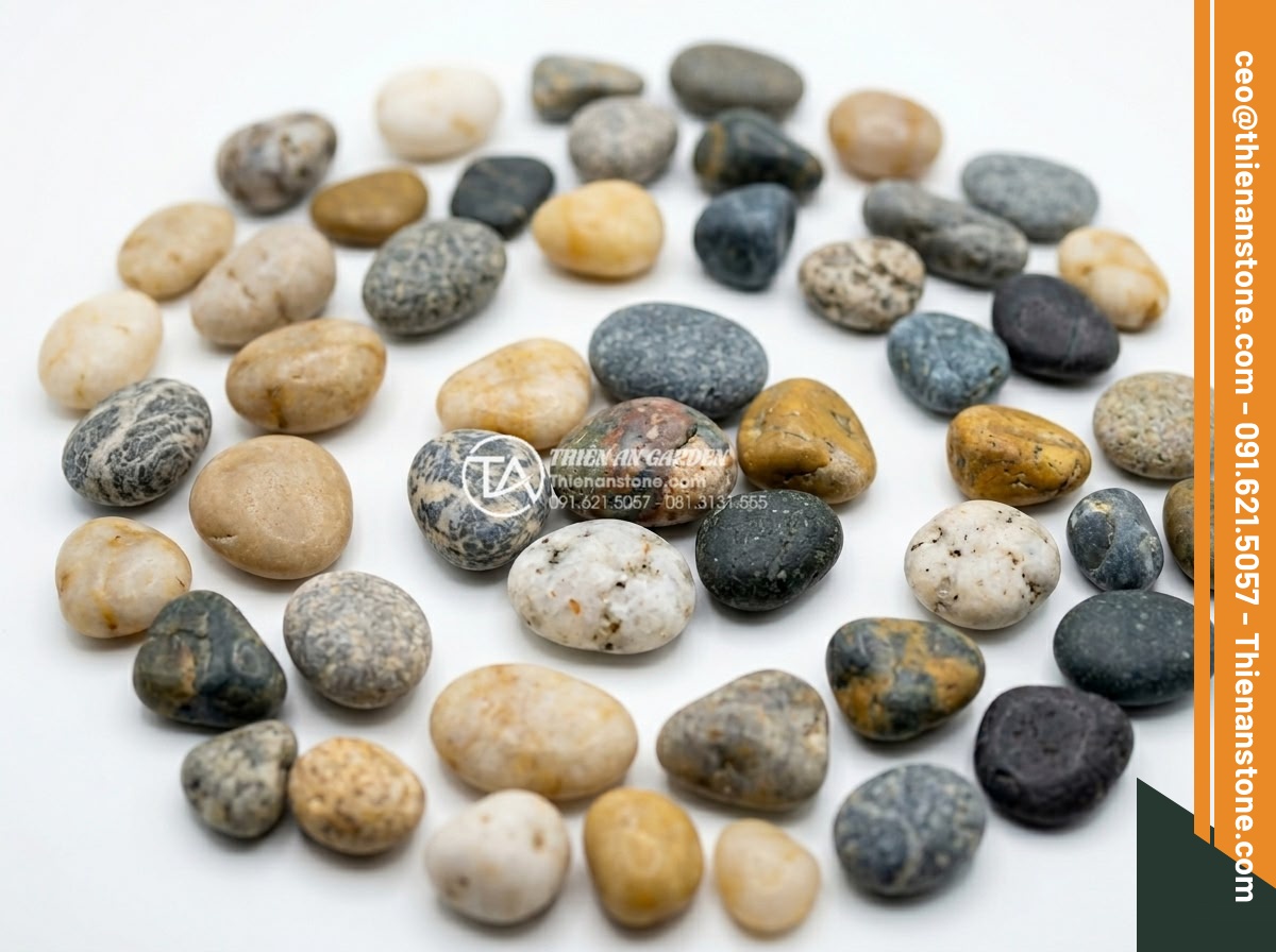 Sỏi biển nhiều màu 2-4cm