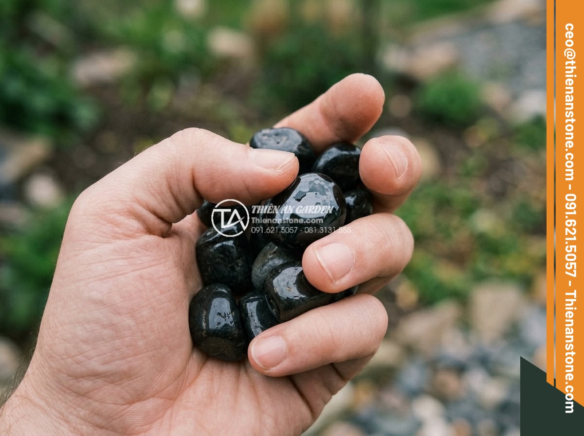 Sỏi đen quay 1-2cm - Hình 3 Sỏi đen quay 1-2cm - Human hand gently touching and holding shiny black 1-2cm tumbled pebbles, showin