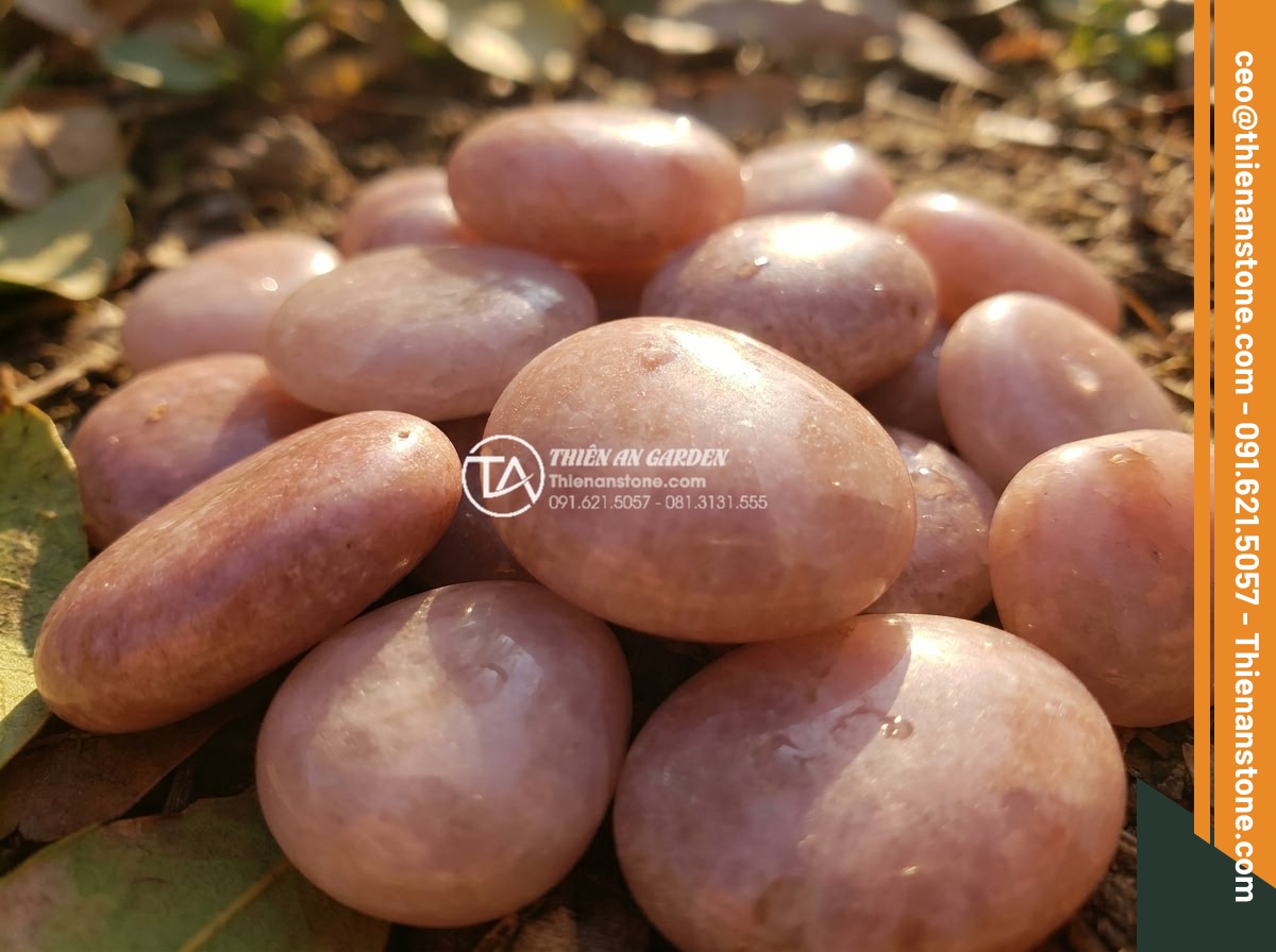 Sỏi hồng quay 1-3cm - Hình 8 Sỏi hồng quay 1-3cm - Close view of pink pebbles under warm afternoon sunlight with dramatic light ref