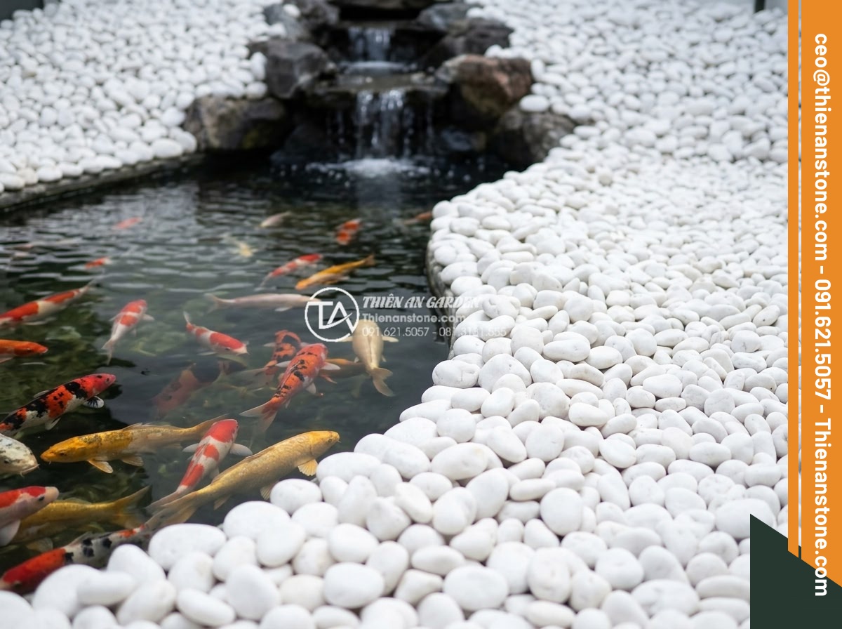 Sỏi trắng quay 3-5cm