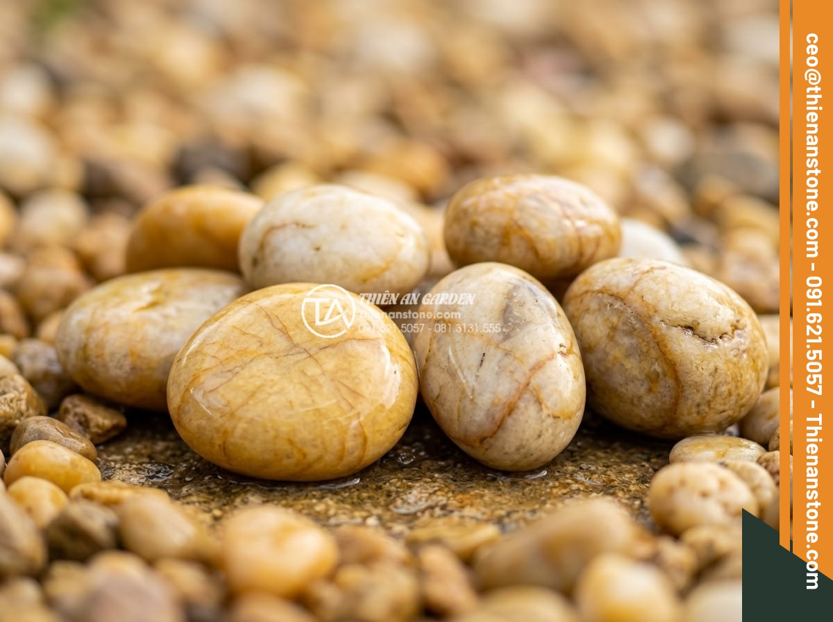 Sỏi vàng quay 2-4cm