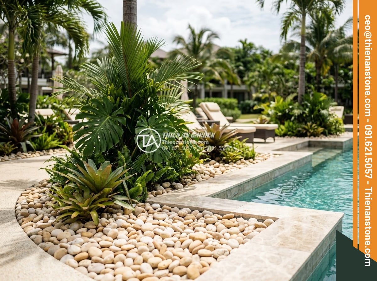 Sỏi vàng quay 3-5cm