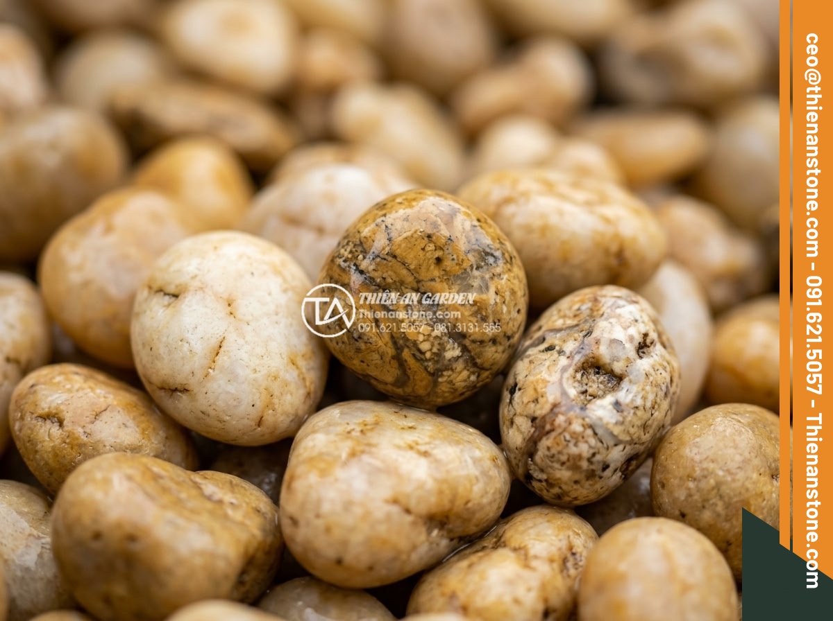 Sỏi vàng quay 3-5mm - Hình 3 Sỏi vàng quay 3-5mm - Extreme close-up macro shot of individual 3-5mm golden tumbled pebbles showing i