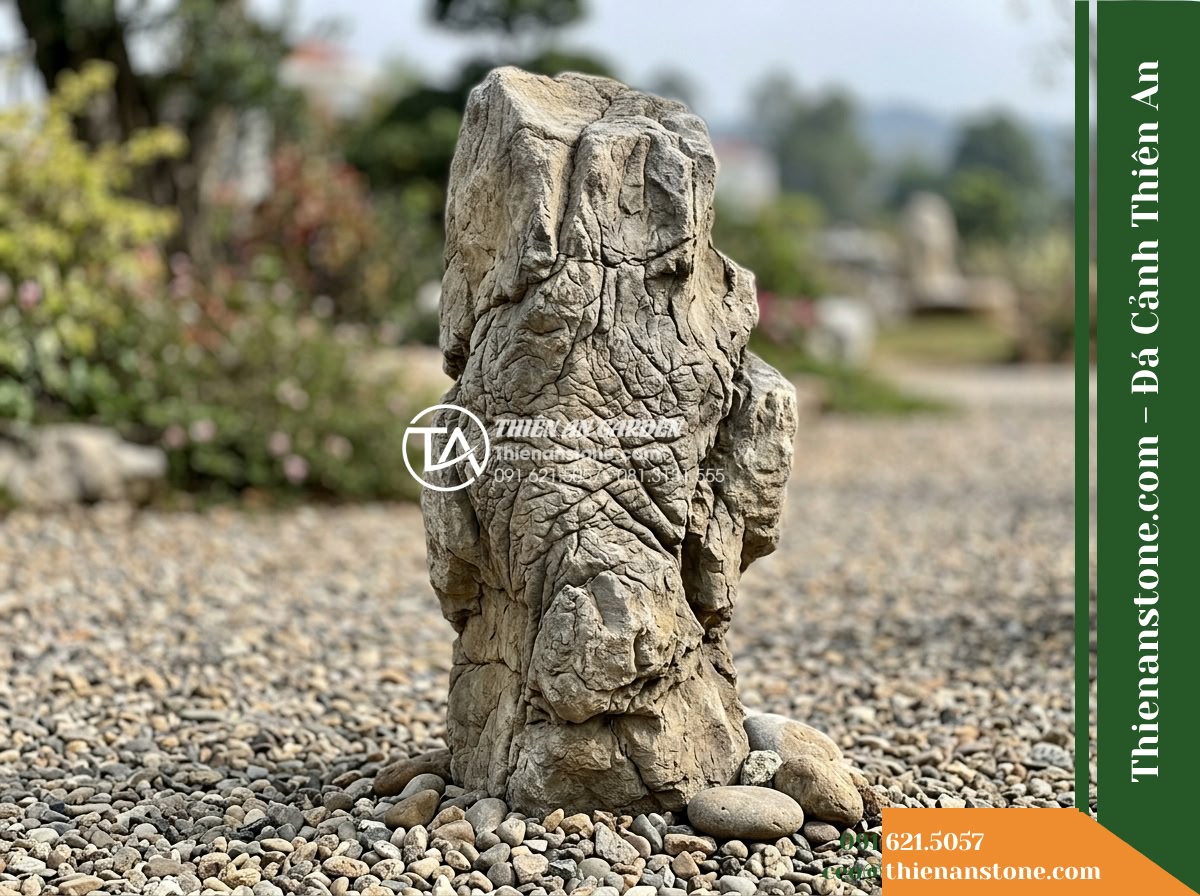 Đá da voi 1-1.5m - Hình 11 Đá da voi 1-1.5m - Single portrait perspective of a one point five meter elephant skin stone standi