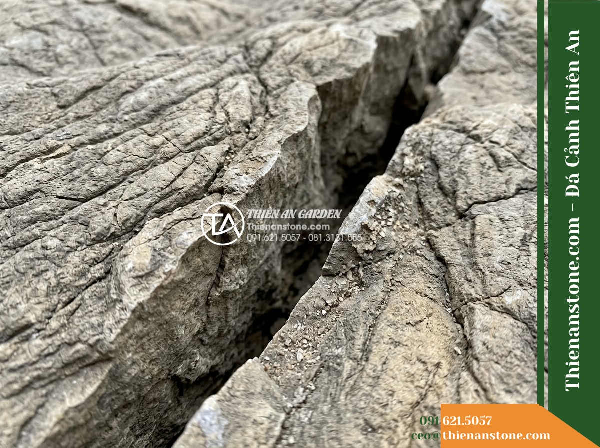Đá da voi 1-1.5m - Hình 15 Đá da voi 1-1.5m - Macro close-up of a natural crevice in the elephant skin stone, showing clean dr