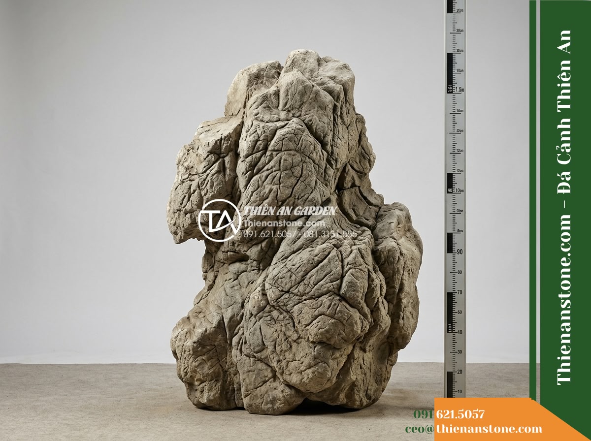 Đá da voi 1-1.5m - Hình 17 Đá da voi 1-1.5m - Studio style full-view photography of a one point five meter landscape stone dis