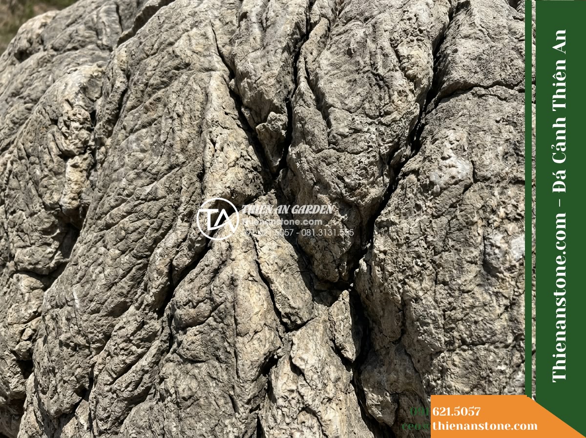 Đá da voi 1-1.5m - Hình 3 Đá da voi 1-1.5m - Close-up macro shot of the rugged, deeply grooved surface of a monolithic elepha
