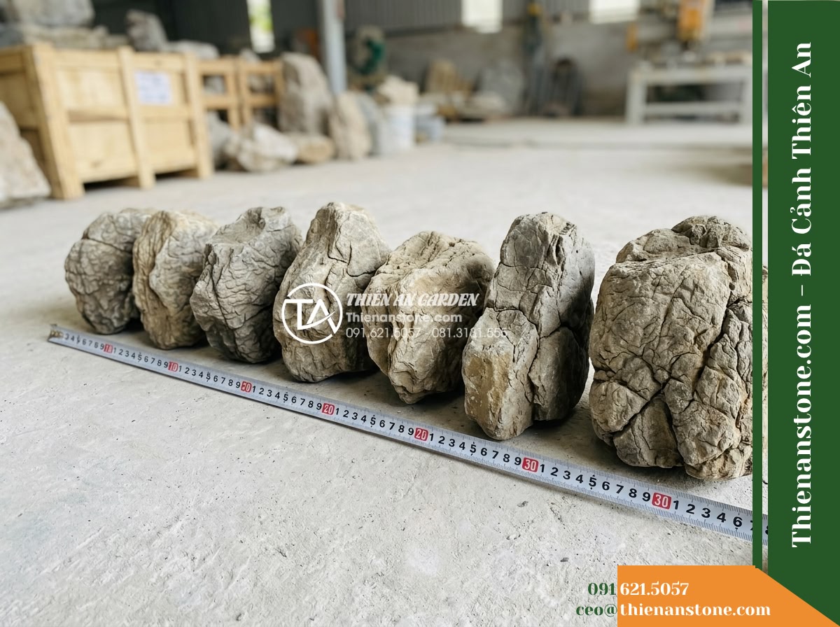Đá da voi 20-30cm - Hình 17 Đá da voi 20-30cm - High-clarity batch photo of several 20-30cm elephant skin stones arranged side b