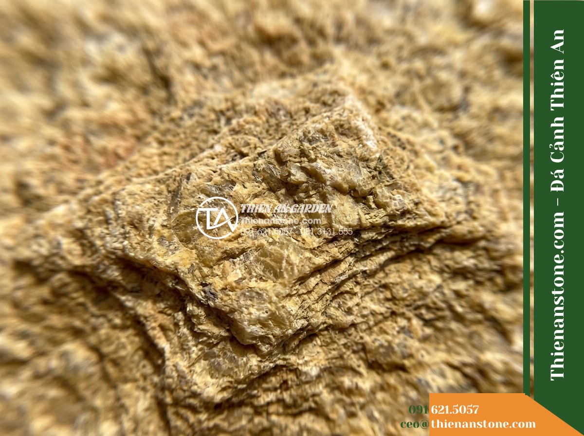 Đá ghép vàng Bình Định | Granite / Marble vàng Bình Định | 10x50 cm - Hình 3 Đá ghép vàng Bình Định | Granite / Marble vàng Bình Định | 10x50 cm - Extreme macro detail photograph of raw split-face Binh Dinh yellow stone surface