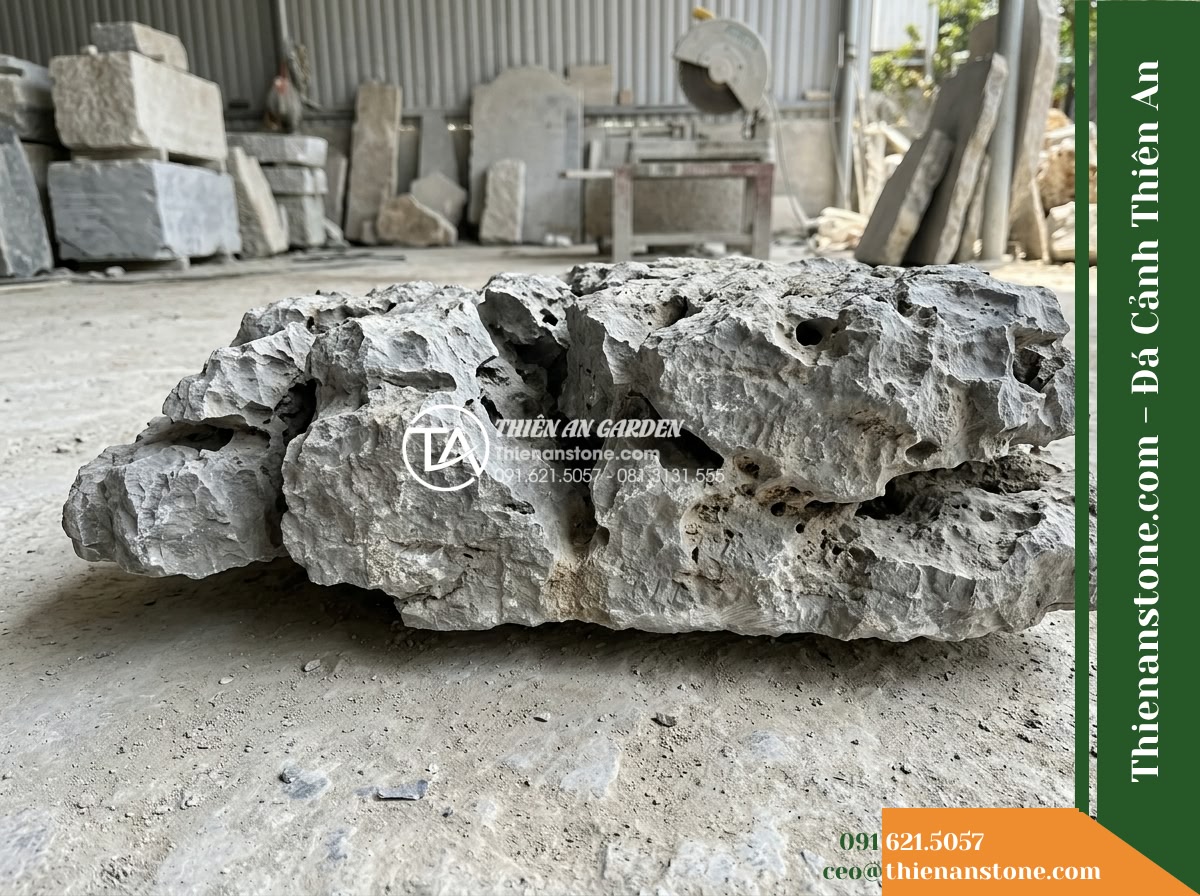 Đá Mão Xám (Size lớn 50–80cm) | Chuyên làm bước dạo, điểm nhấn sân vườn. - Hình 4 Đá Mão Xám (Size lớn 50–80cm) | Chuyên làm bước dạo, điểm nhấn sân vườn. - Side profile view of an individual 50-80cm grey landscaping stone placed on a wo