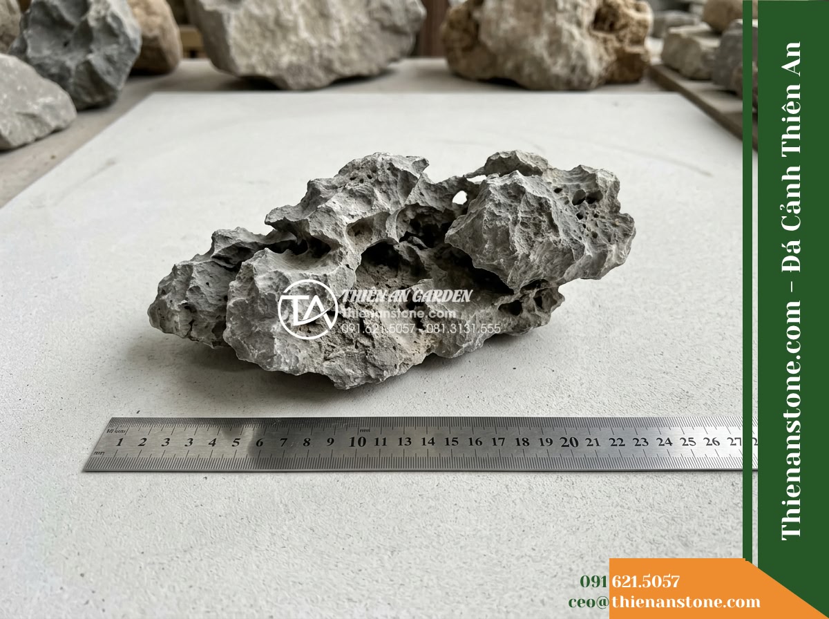 Đá Mão Xám (Size nhỏ 10–25cm) | Chuyên chèn khe, bo bờ tiểu cảnh. - Hình 17 Đá Mão Xám (Size nhỏ 10–25cm) | Chuyên chèn khe, bo bờ tiểu cảnh. - A technical showcase shot of an authentic gray stone piece placed flat beside a