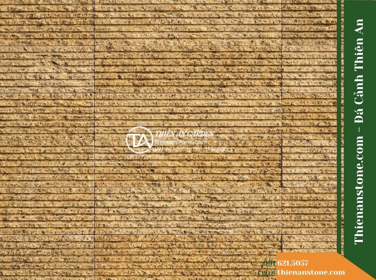 Đá răng lược vàng Bình Định | Granite / Marble vàng Bình Định | 10×50 cm