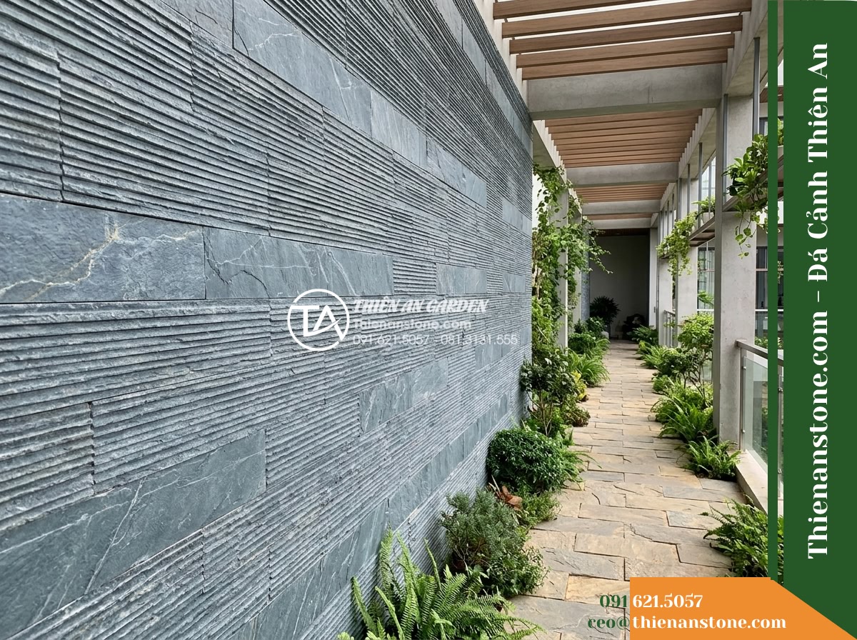 Đá răng lược xám xanh Lai Châu | Slate xám xanh Lai Châu | 10×50 cm