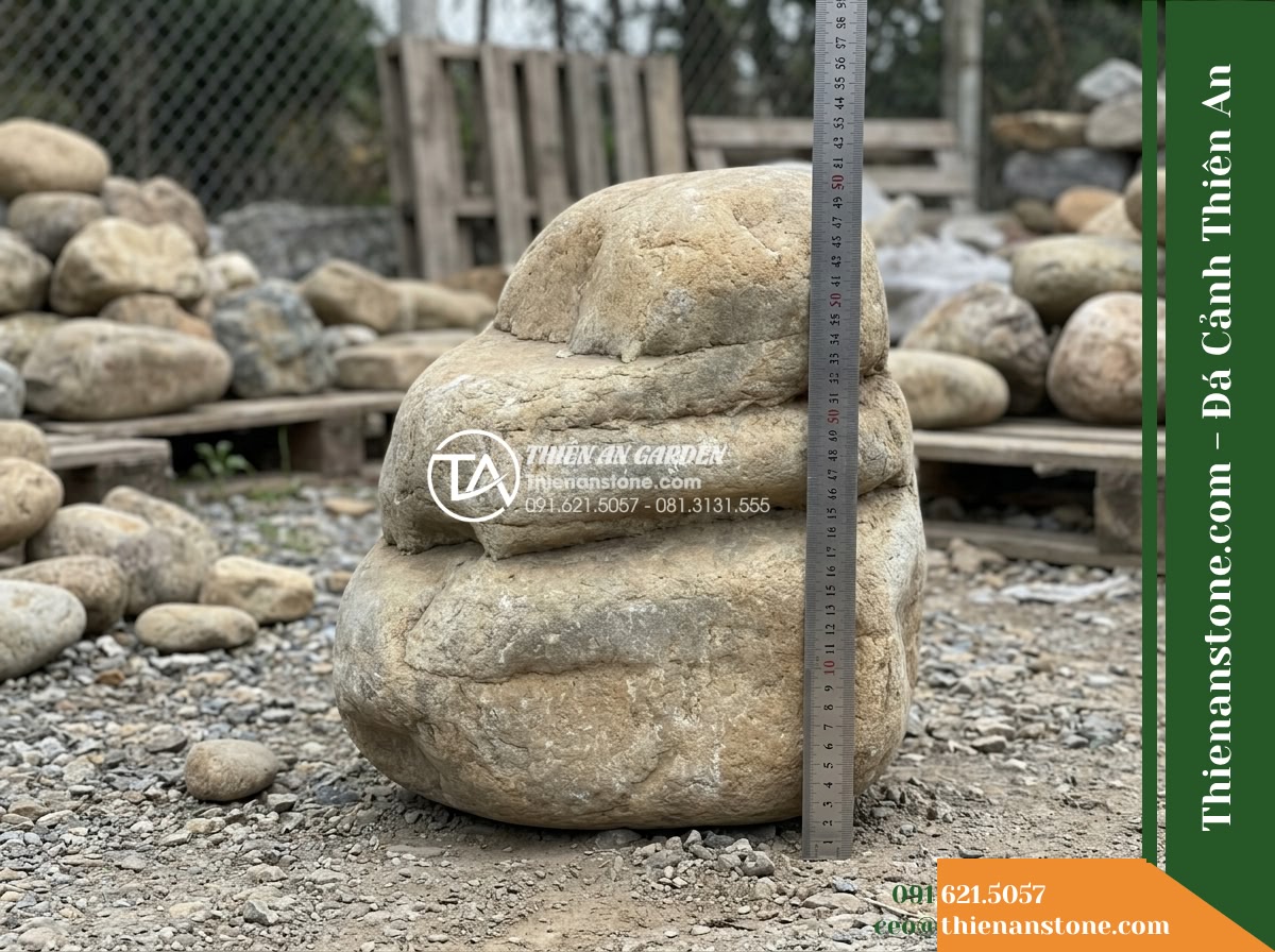 Đá Sơn Tầng (Size vừa 30–60cm) | Chuyên xếp dòng chảy phân tầng nhỏ. - Hình 17 Đá Sơn Tầng (Size vừa 30–60cm) | Chuyên xếp dòng chảy phân tầng nhỏ. - Documentary yard photo displaying a 50 cm tiered rock placed beside a rigid meta