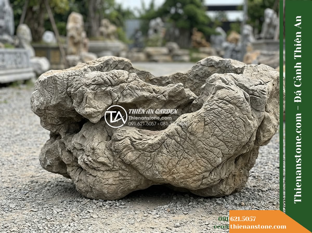 Đá Tượng Sáp (Khối trung 80–120cm / ~0.5–1.2 tấn) | Chuyên xếp chân núi, tạo các hốc luồn lách để trồng cây cảnh lớn, bonsai cổ thụ. - Hình 4 Đá Tượng Sáp (Khối trung 80–120cm / ~0.5–1.2 tấn) | Chuyên xếp chân núi, tạo các hốc luồn lách để trồng cây cảnh lớn, bonsai cổ thụ. - Side profile inspection view of an 80-120cm Tuong Sap stone sitting on flat grav