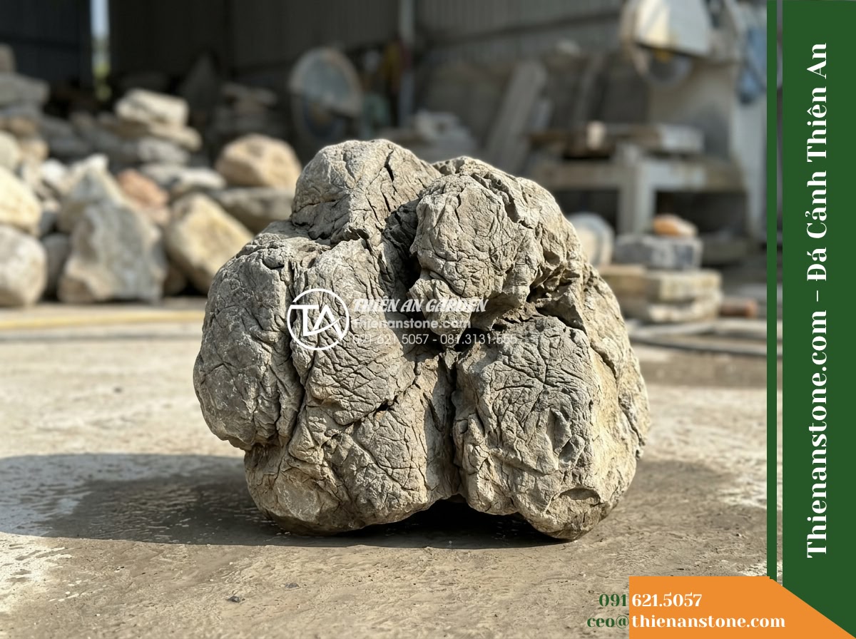 Đá Tượng Sáp (Size vừa 20–50cm) | Chuyên bo bờ, xếp hốc tiểu cảnh. - Hình 3 Đá Tượng Sáp (Size vừa 20–50cm) | Chuyên bo bờ, xếp hốc tiểu cảnh. - Detailed inspection shot of a single 35cm raw landscape boulder positioned on a